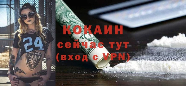 бошки Алексин