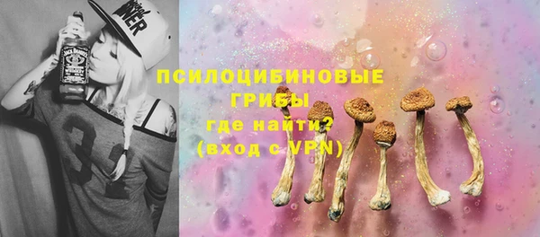 бошки Алексин