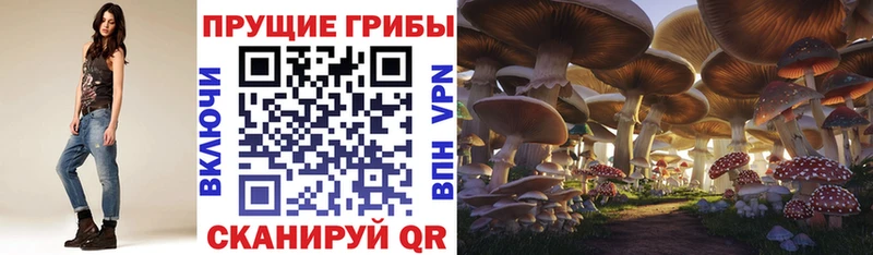 Галлюциногенные грибы мицелий Карпинск
